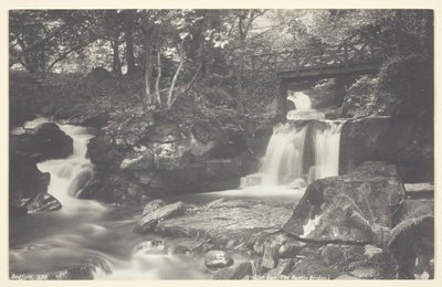 Glen Lyn, die rustikale Brücke, 1860-94 von Francis Bedford