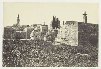 Das Tiroler Tal von Francis Frith