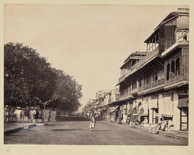 Straßenansicht von Kalkutta von Francis Frith and Co.