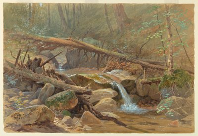 Teich im Wald von Francis Hopkinson Smith