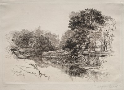 Ein Fluss in Irland von Francis Seymour Haden
