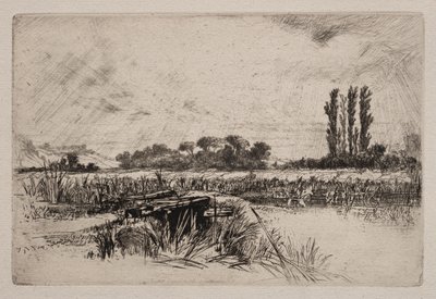 Eine Wasserwiese von Francis Seymour Haden