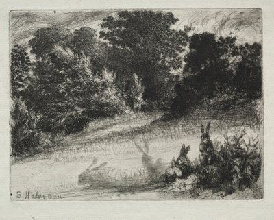 Combe Bottom von Francis Seymour Haden