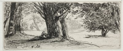 Das Stechpalmenfeld von Francis Seymour Haden