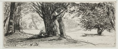 Das Stechpalmenfeld von Francis Seymour Haden