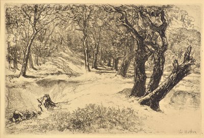 Die drei Schwestern von Francis Seymour Haden