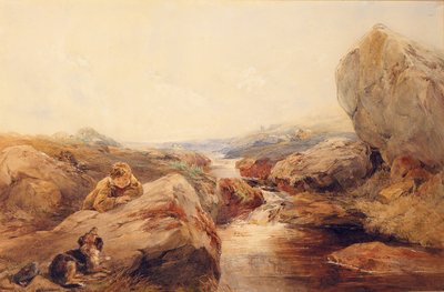Auf den Mooren von Francis William Topham