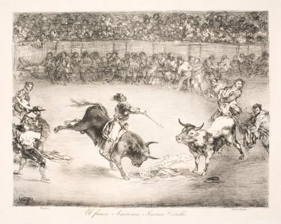 "Der berühmte Amerikaner, Mariano Ceballos" von Francisco de Goya