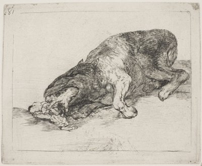 Ein wildes Ungeheuer (81) von Francisco de Goya