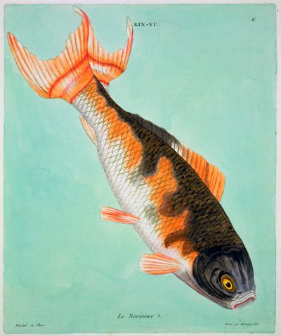 Le Noriroux von Francois Nicolas Martinet