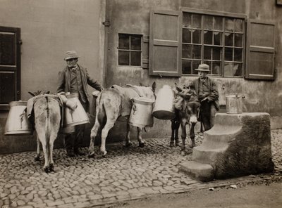 Milchesel von Frank Meadow Sutcliffe