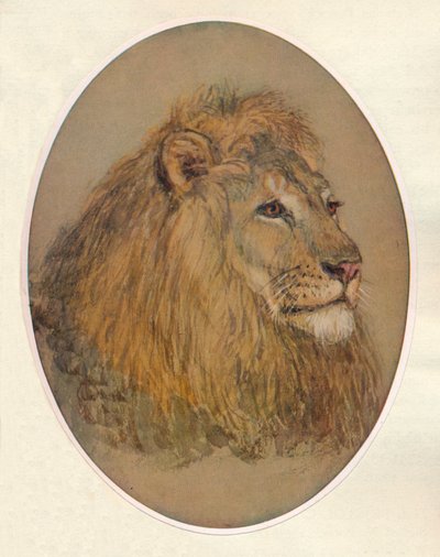 Lions Head, ca. 1896 von Frank Paton