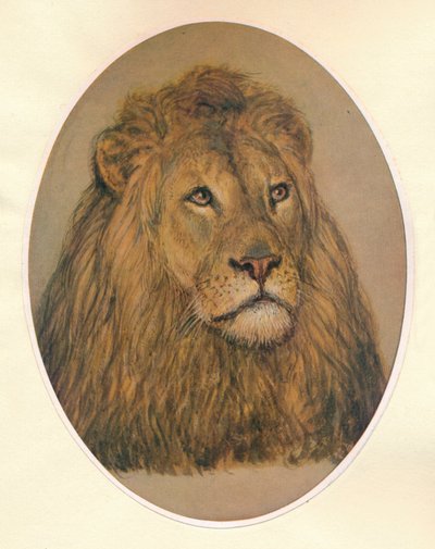 Löwenkopf, um 1896 von Frank Paton