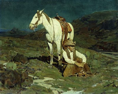 Der Nachtfalke von Frank Tenney Johnson