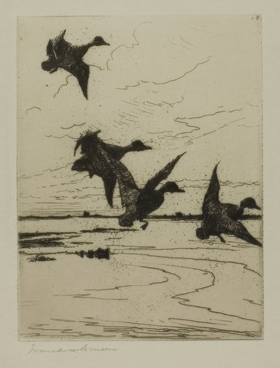 Landende Enten von Frank Weston Benson