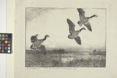 Drei Gänse von Frank Weston Benson
