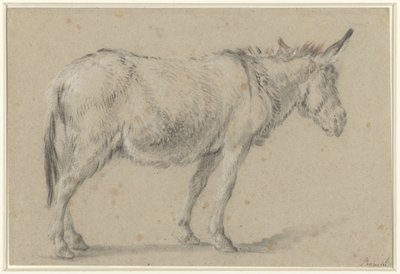 Stehender Esel, nach rechts von François Boucher (possibly)