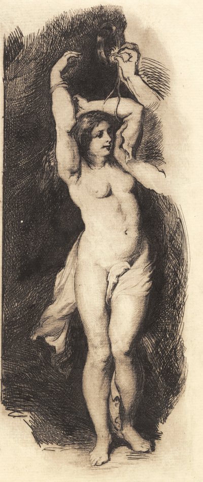 Andromeda, nach Rubens von Frans Schwartz