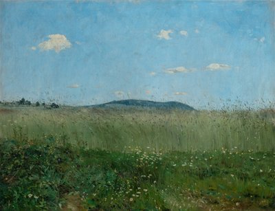 Die Luft der Heimat von Frantisek Kavan
