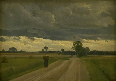 Landschaft bei grauem Wetter von Frants Henningsen