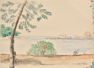 Küste in Florida (?) von Franz Barwig d. Ä.