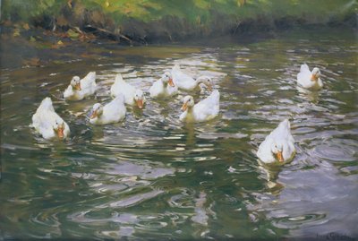 Weiße Enten auf dem Wasser von Franz Grassel