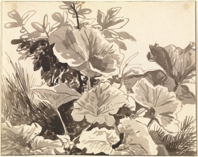 Studie von Huflattichblättern von Franz Innocenz Kobell