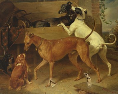 Krugers Hunde, 1855 von Franz Krüger