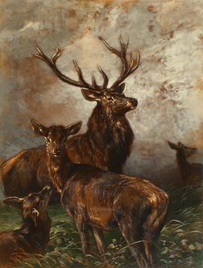 Hirsch und Hirschkuh von Franz Xaver von Pausinger