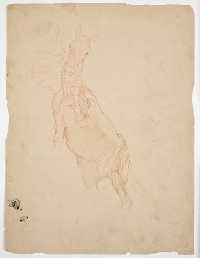 Studien eines aufsteigenden Pferdes von Franz von Matsch