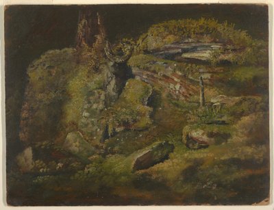 Fels im Wald von Frederic Edwin Church