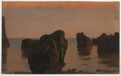 Felsen und Moos vor Grand Manan von Frederic Edwin Church