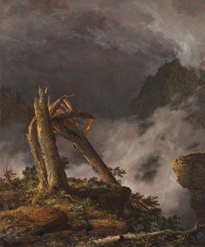 Sturm in den Bergen, 1847 von Frederic Edwin Church