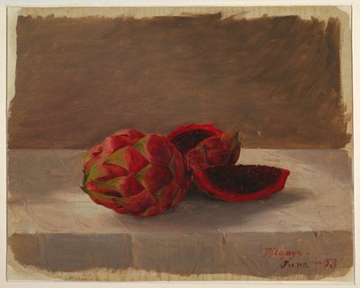 Die Pitajaya-Frucht, Kolumbien von Frederic Edwin Church