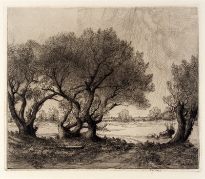 Alte Weiden von Frederick G. Hall