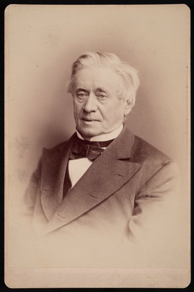 Porträt von Joseph Henry 1797-1878, 1876 von Frederick Gutekunst