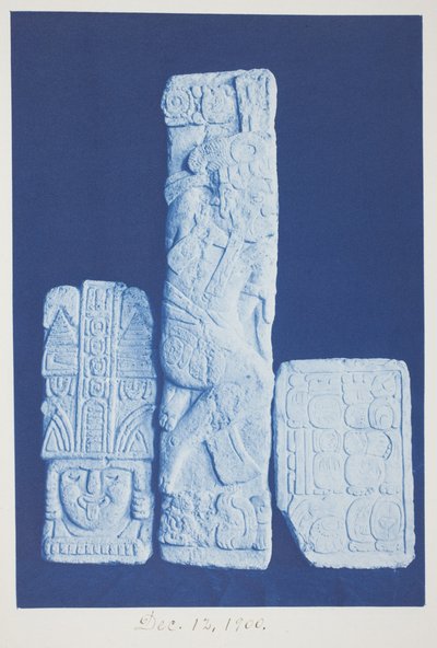 Ohne Titel, 12. Dezember von Frederick K. Coulson