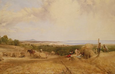 Das Erntefeld, 1846 von Frederick Richard Lee