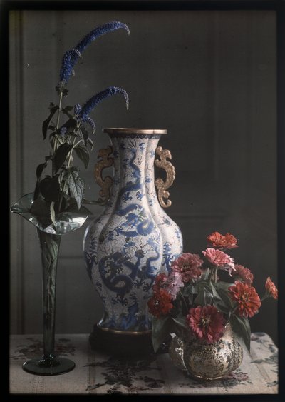 Stillleben mit verziertem chinesischem Vase von Frederick S. Dellenbaugh