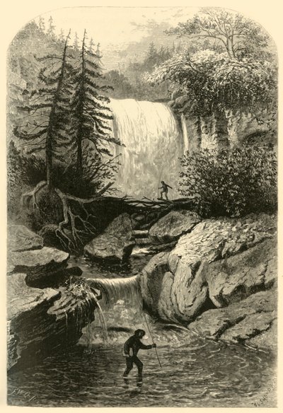 Wasserfälle des Blackwater, 1872 von Frederick William Quartley