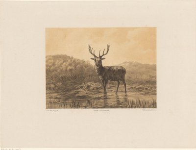 Hirsch in Landschaft von Frederik Hendrik Weissenbruch