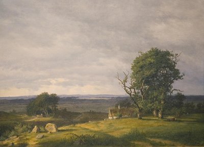 Landschaft aus der Gegend von Esrom von Frederik Rohde