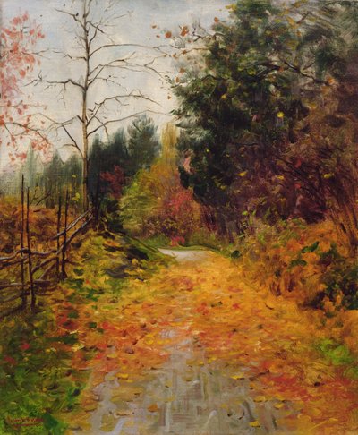 Herbstmotiv von Fredrik Kolstoe