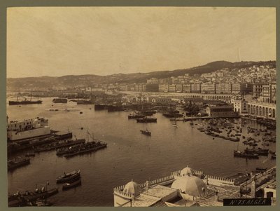 Ansicht von Algier, ca. 1860-1900 von French Photographer