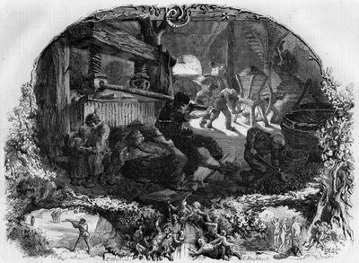 Herstellung von Apfelwein von French School