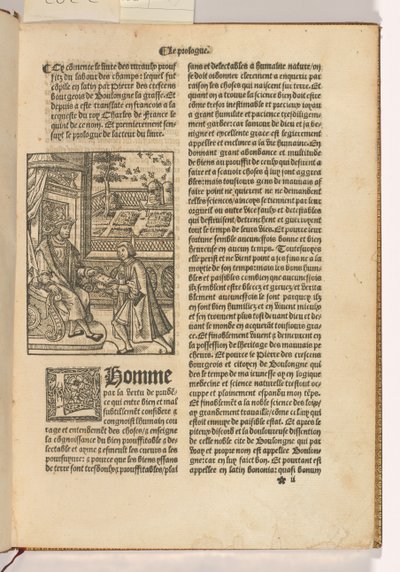 Le Bon Mesnager von Crescentiis, Paris von French School