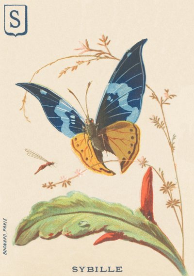 S: Sybil von French School