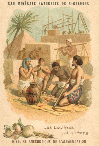 Das Gemüse Ägyptens von French School