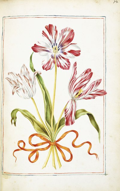 Tulpen, 18. Jahrhundert von French School