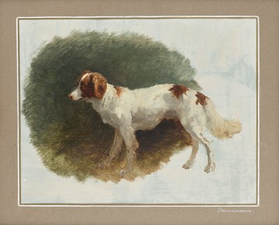 Jagdhund von Friedrich August Mathias Gauermann